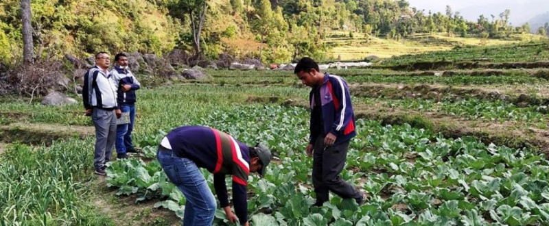 स्नातक तहसम्मको अध्ययन गरेका अवस्थी बने ५ गाडीको मालिक 